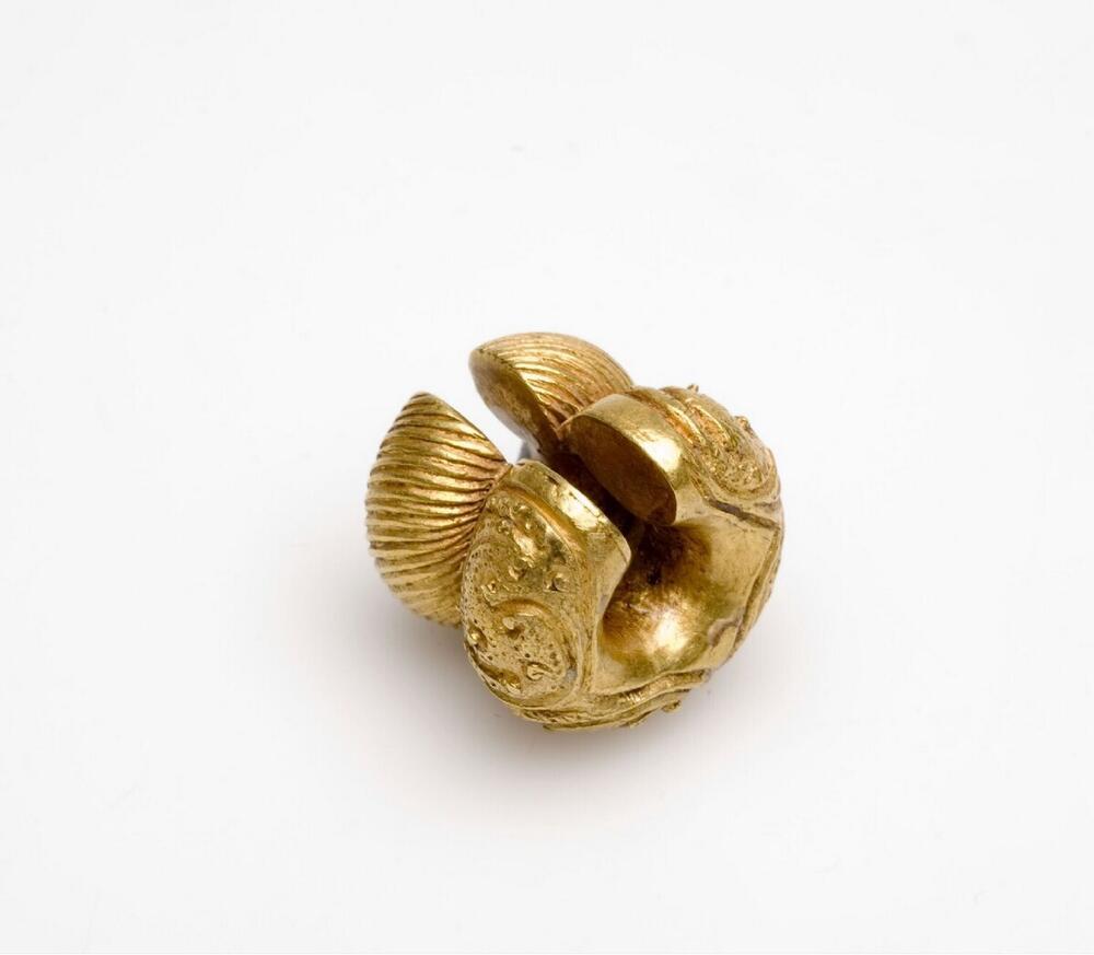 Dubbel gouden rond oorsieraad