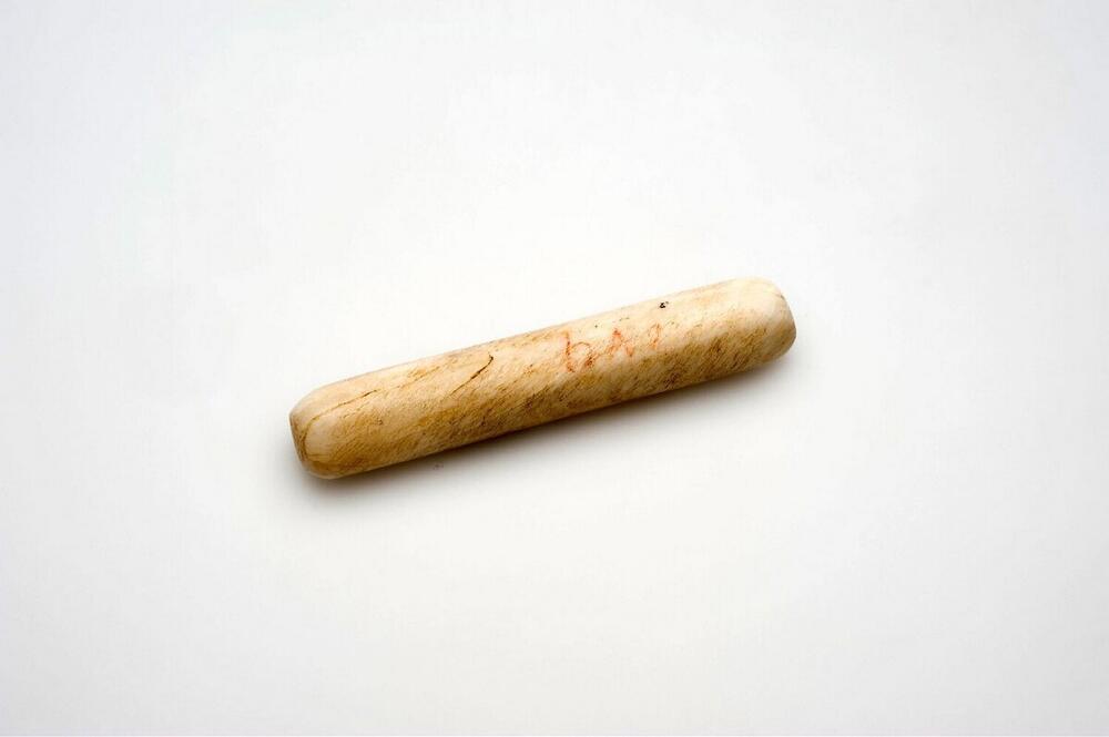 Neusstaaf