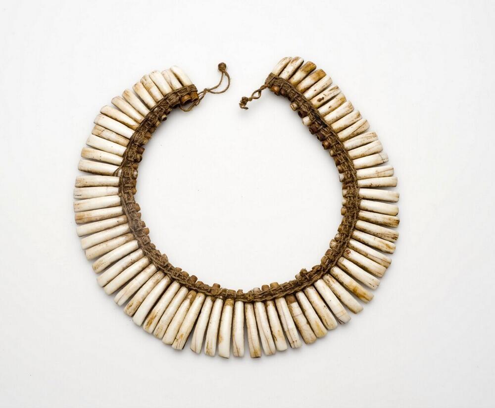 Necklace made of pig teeth