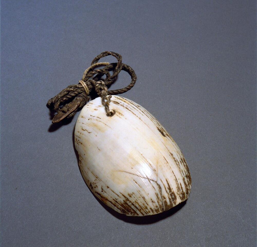 Borstsieraad van geslepen schelp