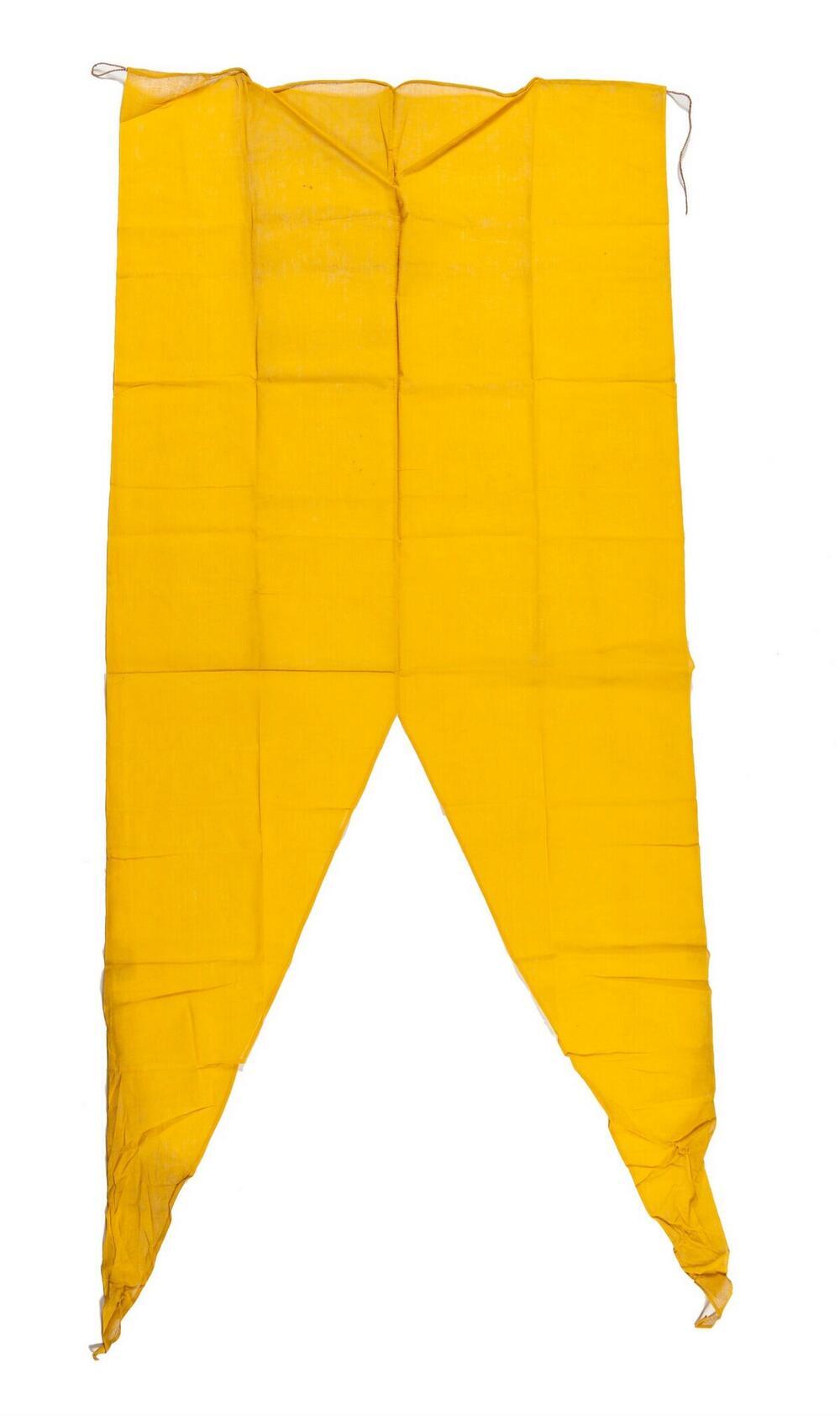 Vlag