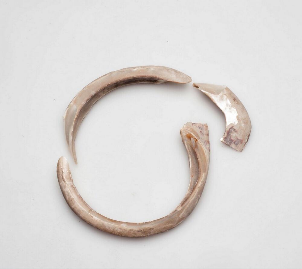Schelpen armband, gebroken