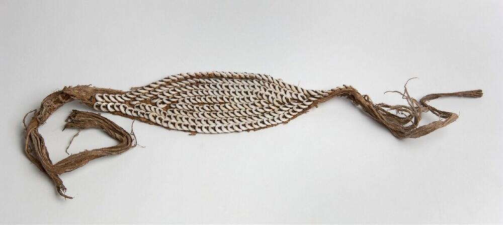 Band for the fore head, decorated with nassa shells