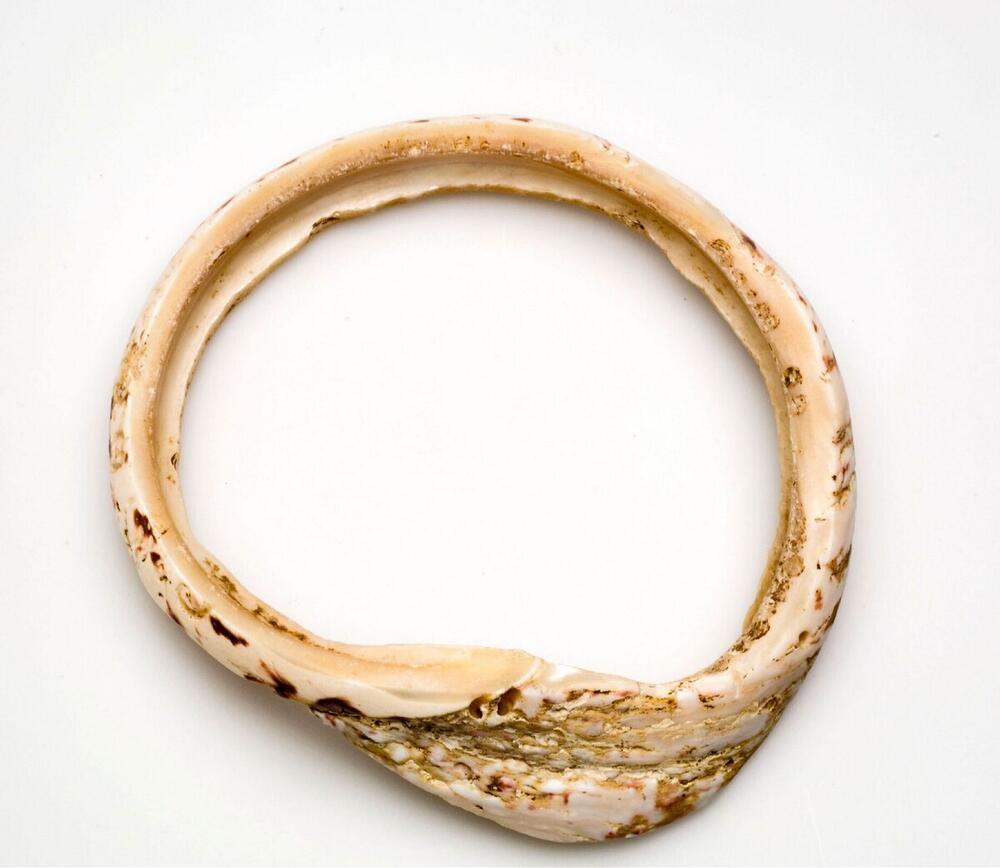 Armband geslepen uit een schelp