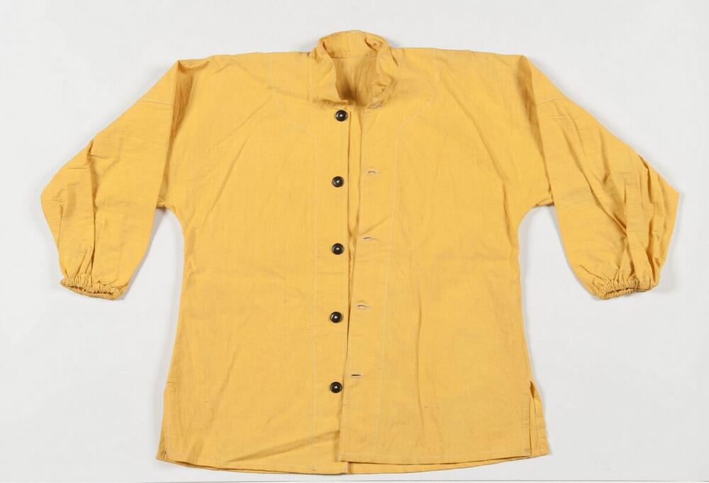 Blouse van een leeuwendanskostuum
