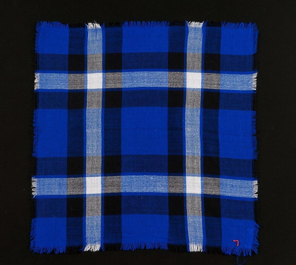 Blauwe geruite doek