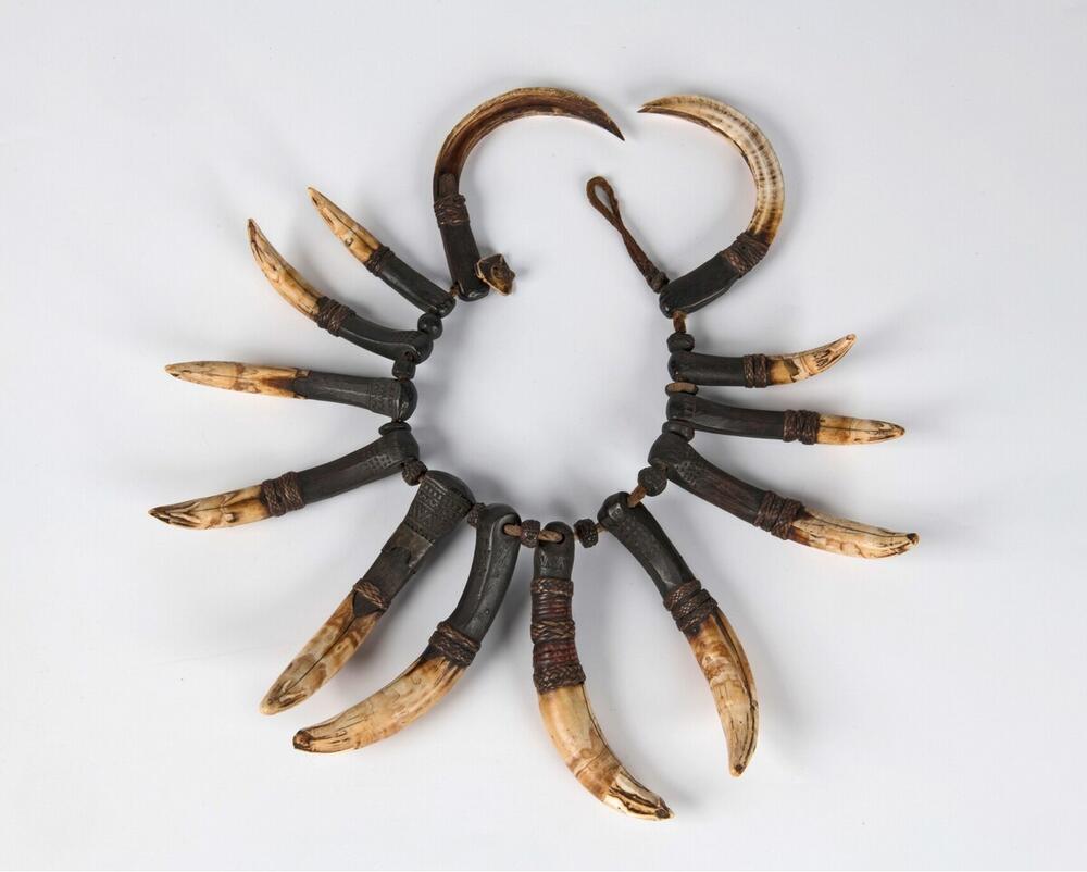 War necklace with crocodile's and swine's teeth