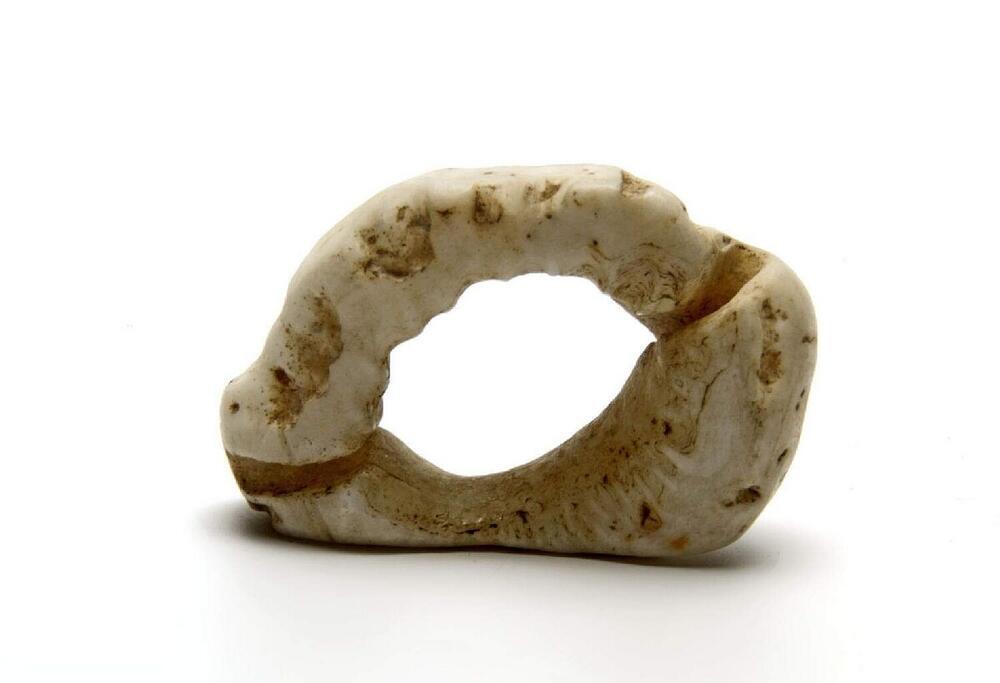 Schelpen ring