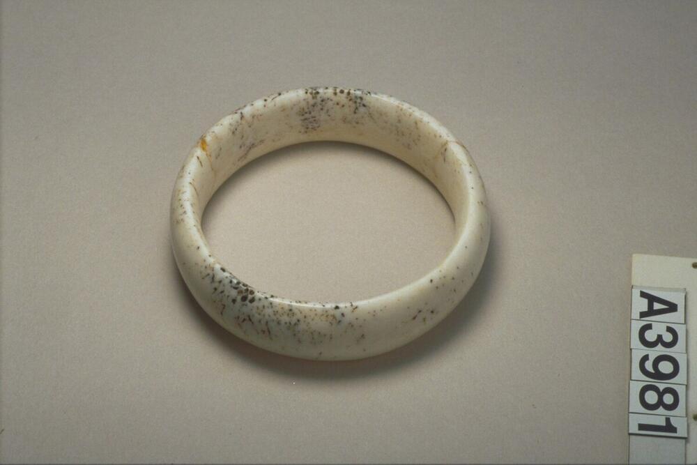 Armband van schelp