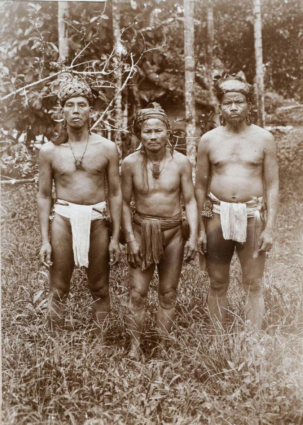 Portret van drie Dajak mannen