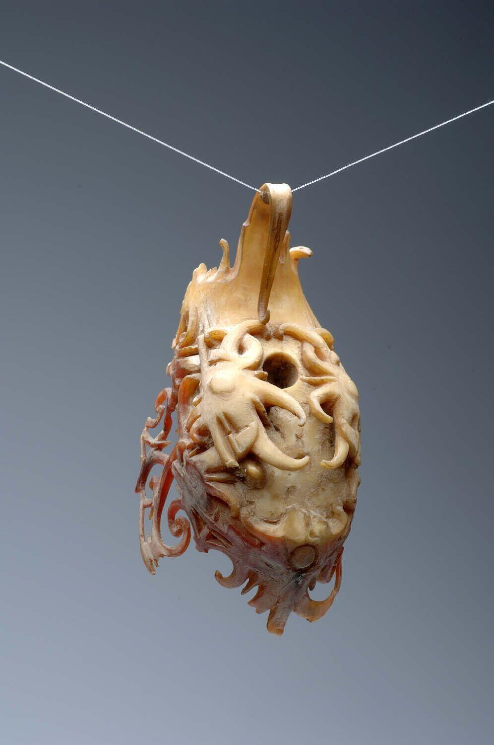 Earring made of hornbill beak