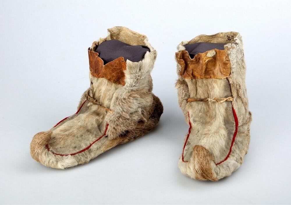 Een paar schoenen