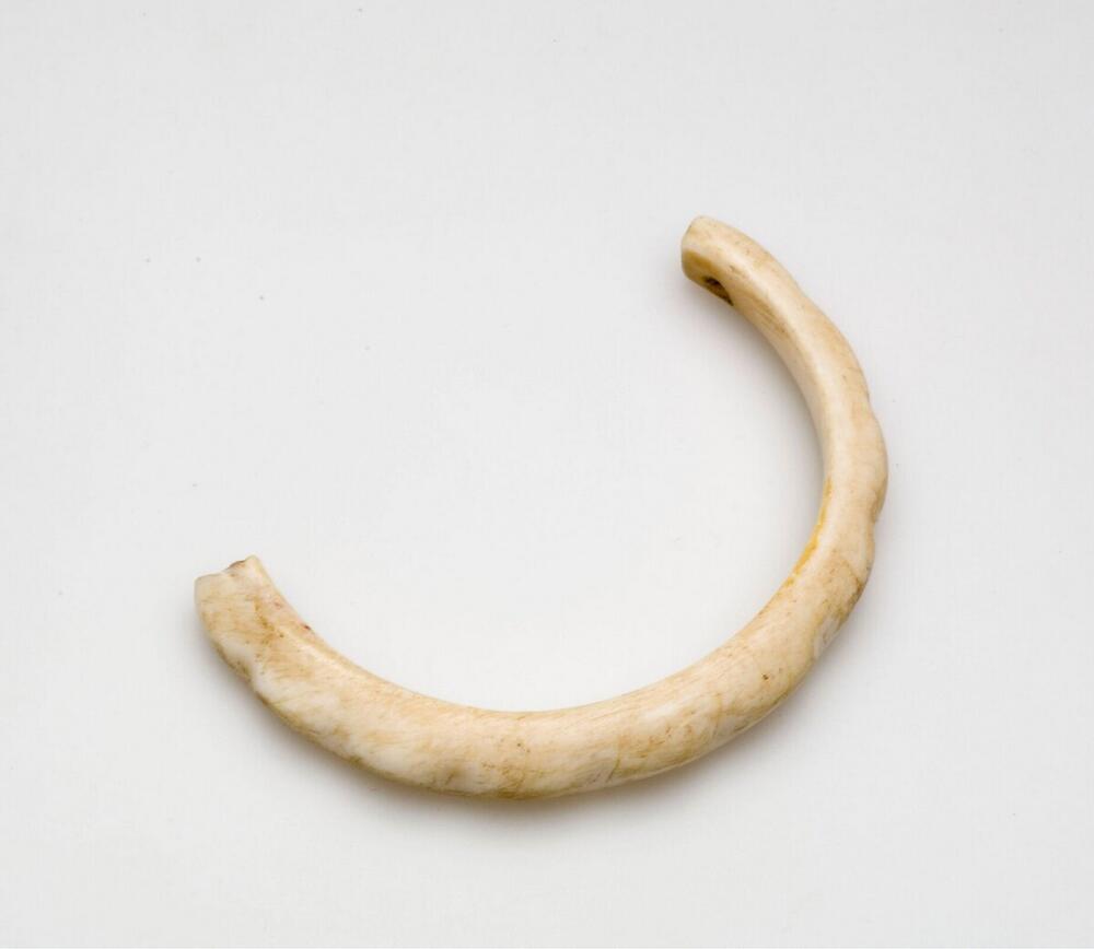 Fragment van een schelpen armring