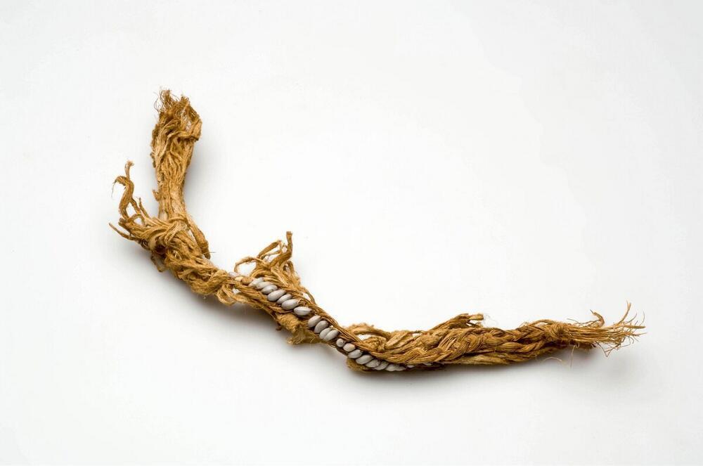 Knieband