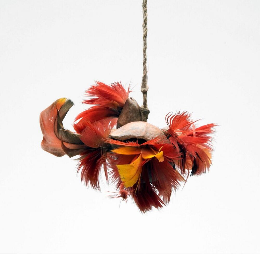 Arm decoration of feathers and shells
