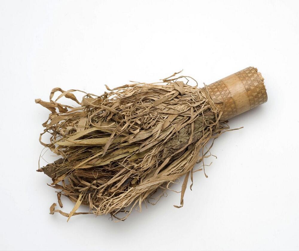 Oorversiering in de vorm van een koker waaruit gras en bladeren steken