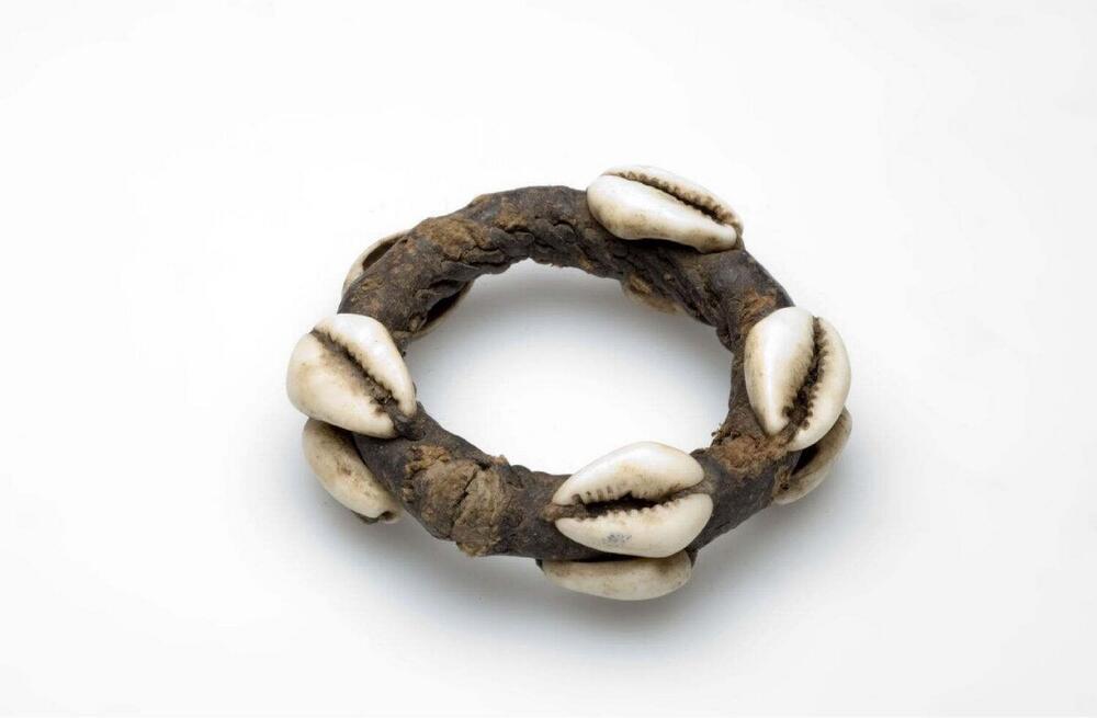 Leren armband met kaurischelpen, gedragen als bescherming tegen ziekte en oorlog