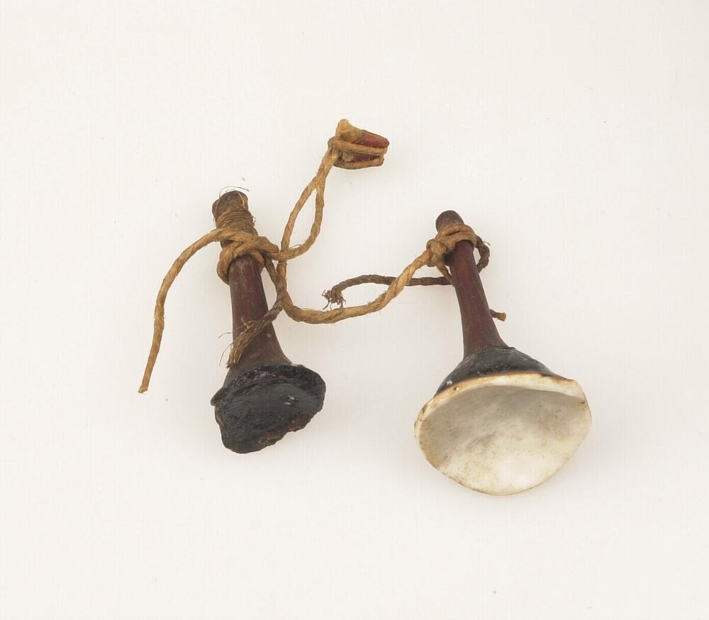 Paar oorsieraden van schelp met hout
