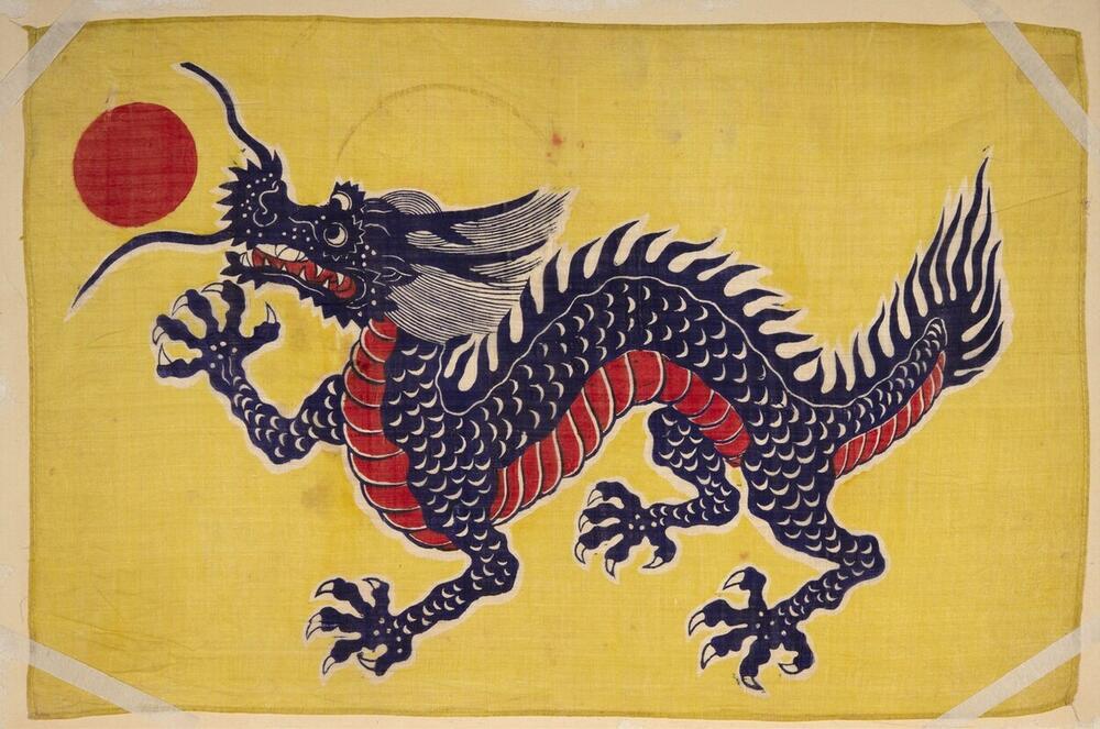 Vlag
