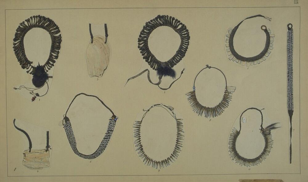 Haar-, hals- en borstsieraden van de Moni en Dèm bergpapua mannen