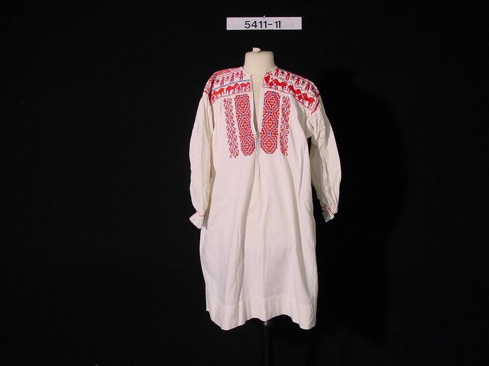 Vrouwenblouse of -jurk met borduursel