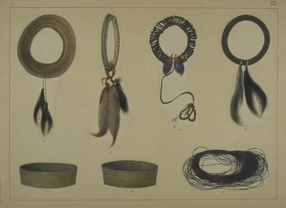 Armbanden en een hoofdtooi van de Ekari, Moni en Dèm bergpapua's en een buikgordel van de papua's…