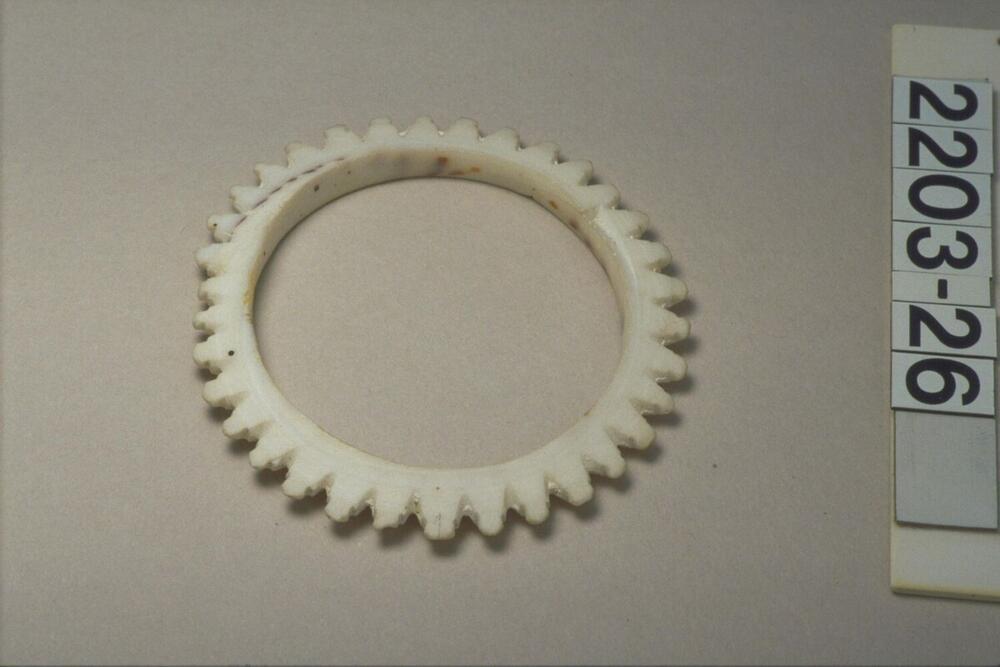 Armband van witte schelp met een gekartelde rand