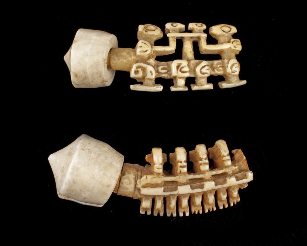 Ear ornament