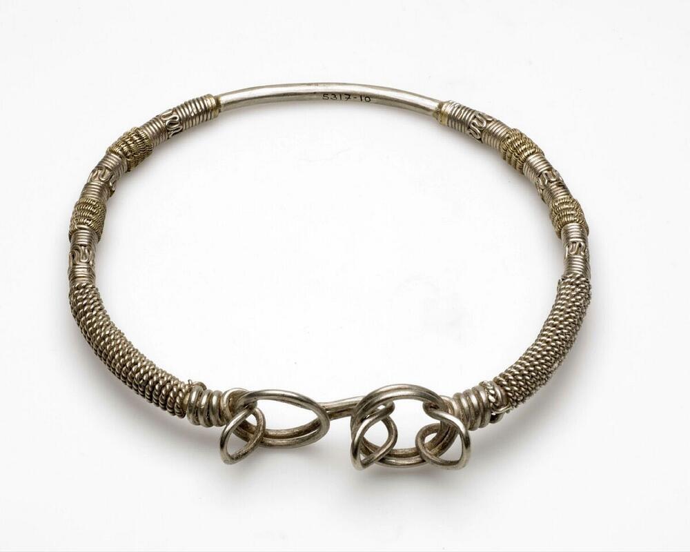 Blank metalen halsband