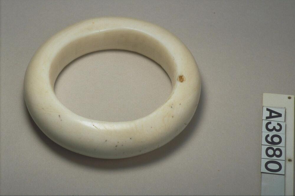 Armband van schelp