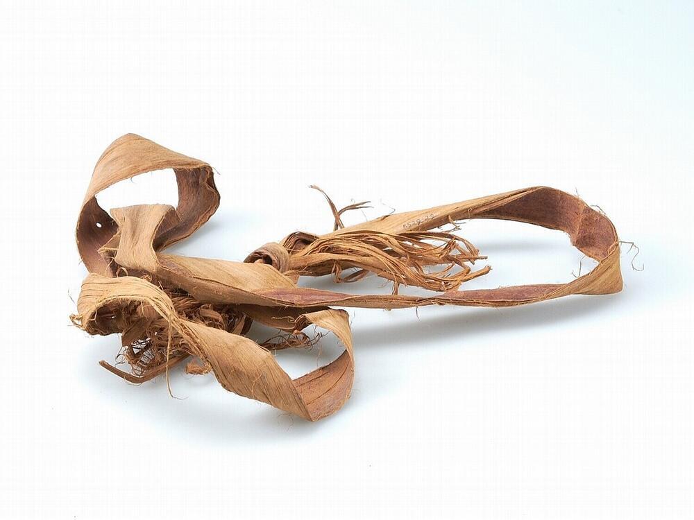 Belt made of bark cloth, used to carry a knife while climbing trees