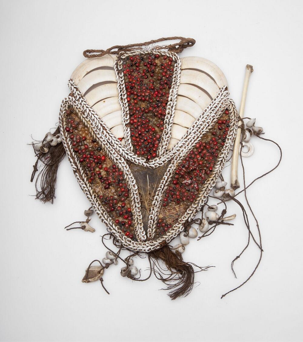 Breast adornment made of seed, pig teeth en nassa shells