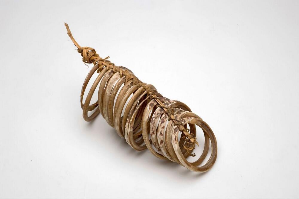 Een rij schelpen armbanden aan een stokje.