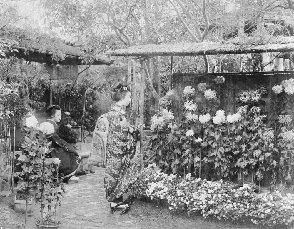 Twee geisha's in een bloementuin