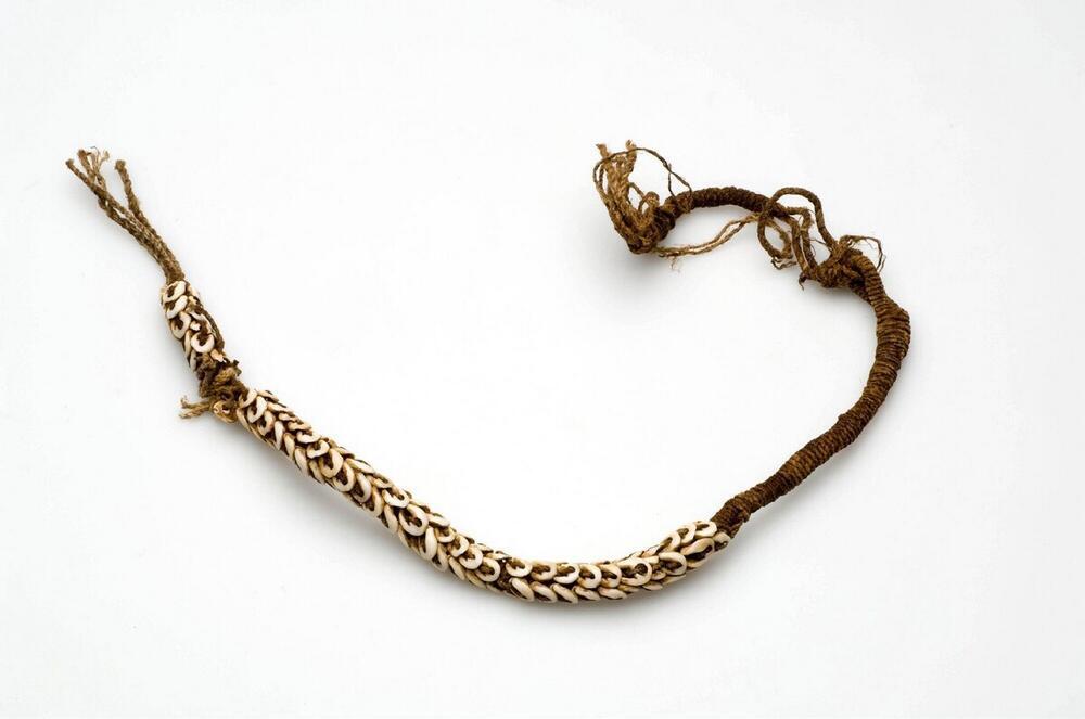 Knieband voor mannen