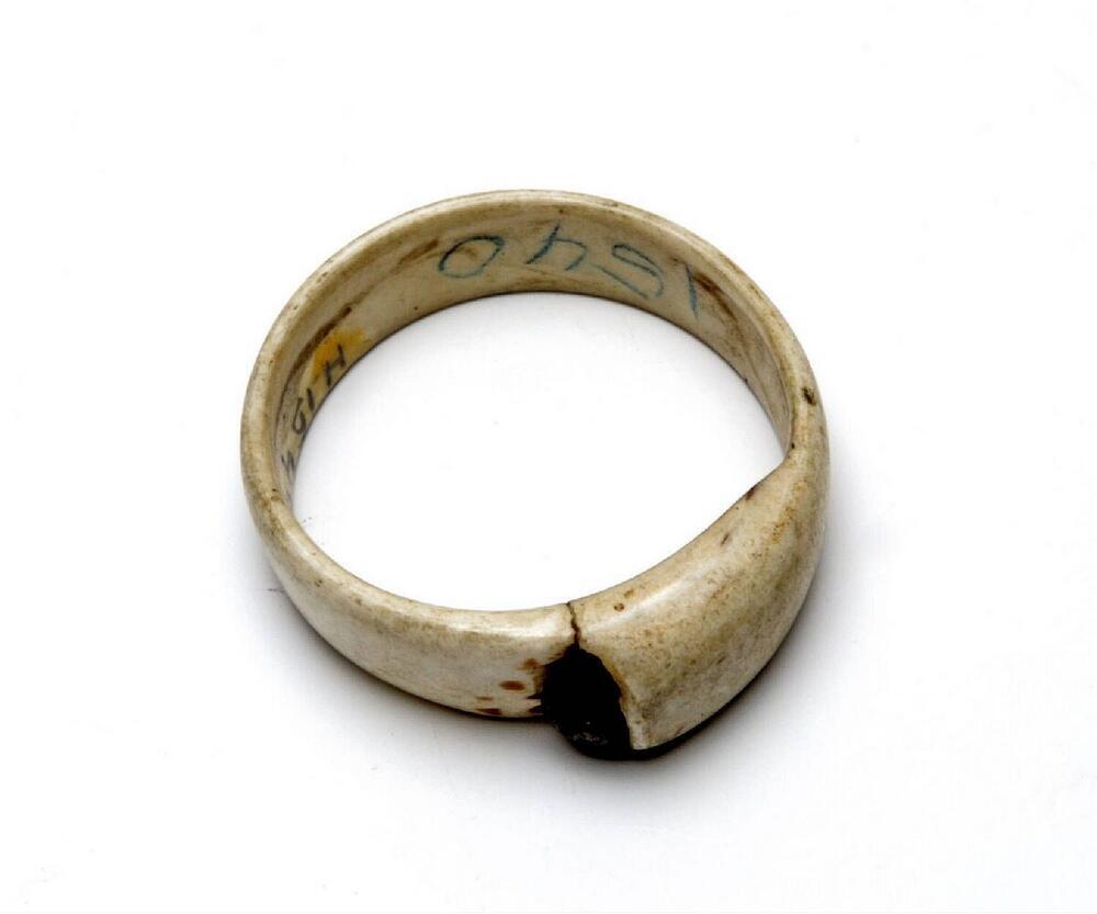 Armband van schelp