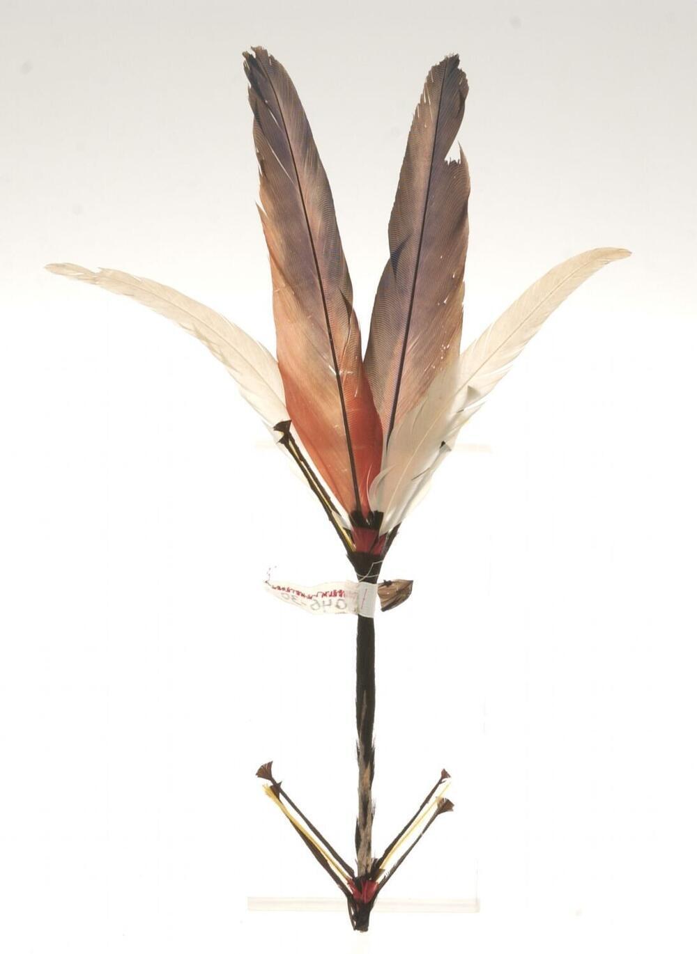 Feather ornament for upper arm