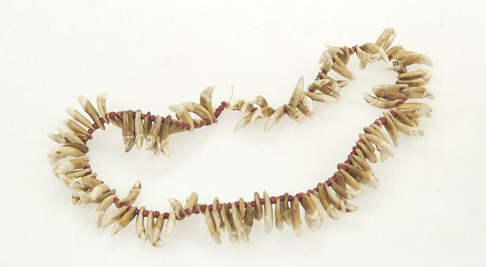 Ketting van hondentanden