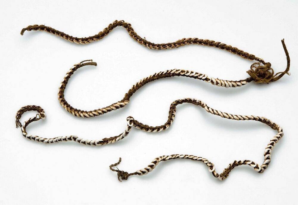 Adornment for breast and back