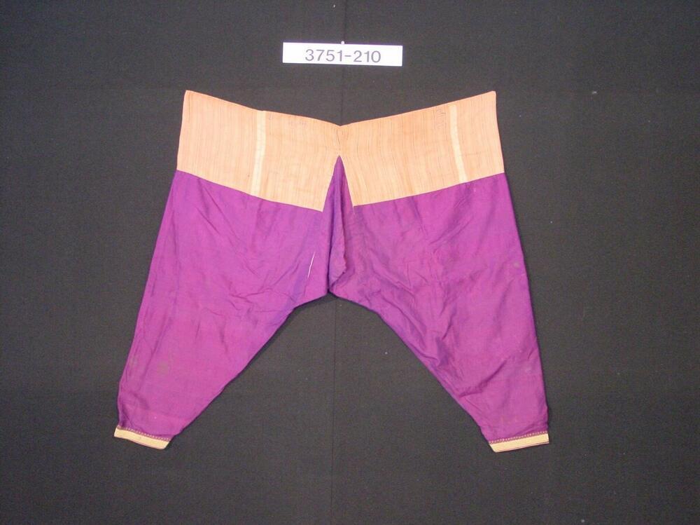 Paars zijden broek met gouddraadversiering
