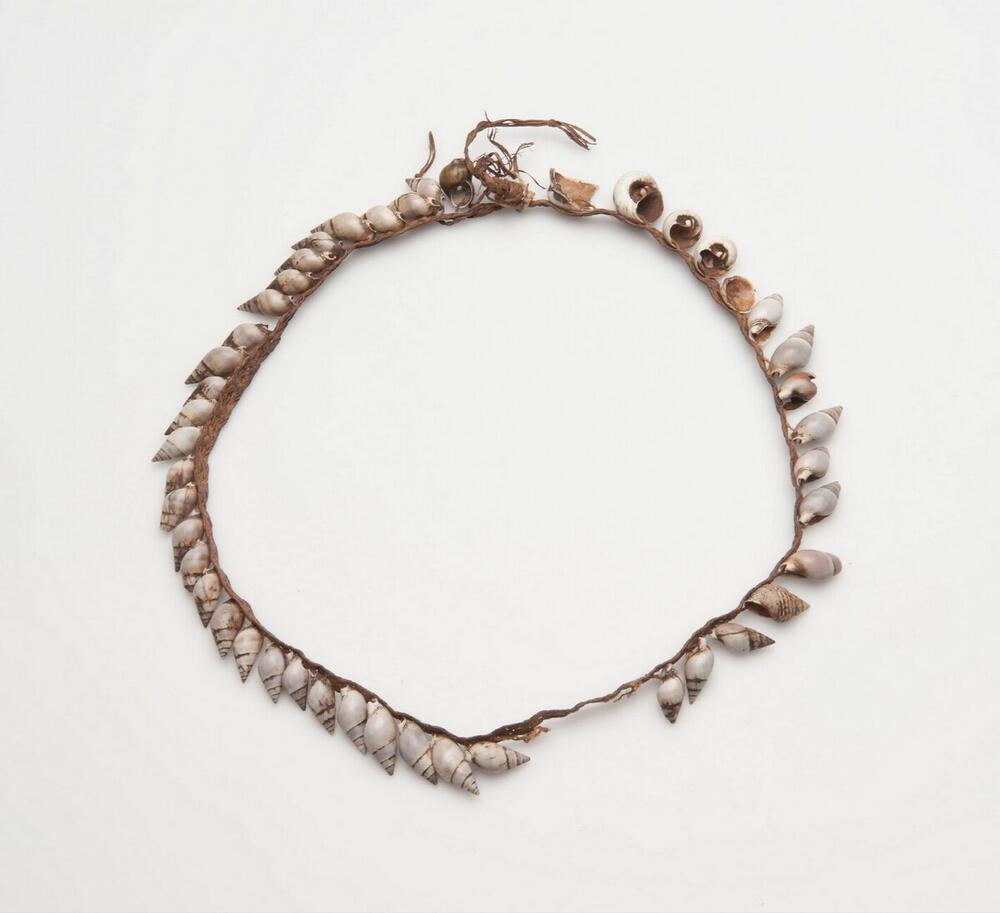 Halsketting met schelpjes