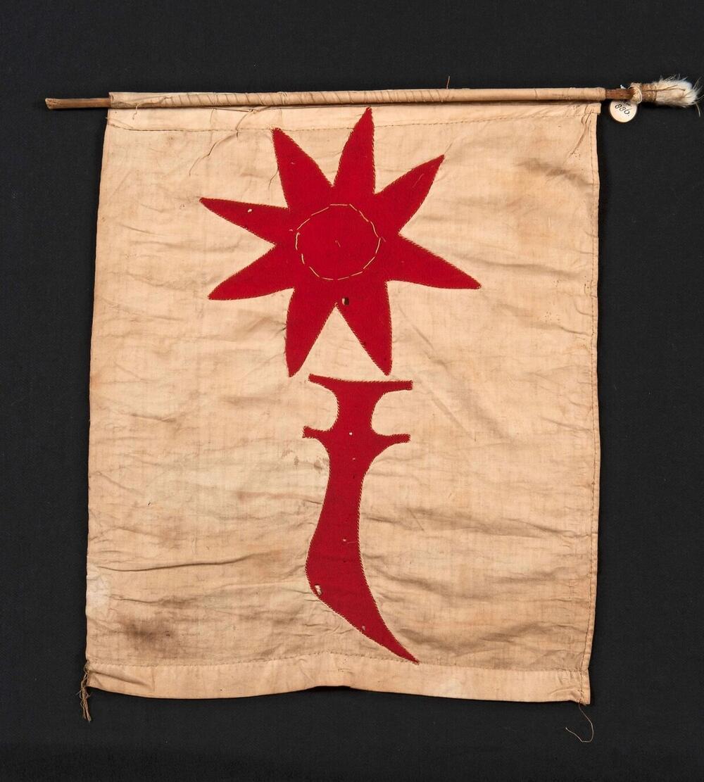 Vlag