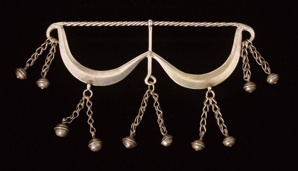 Ornament worn on the back