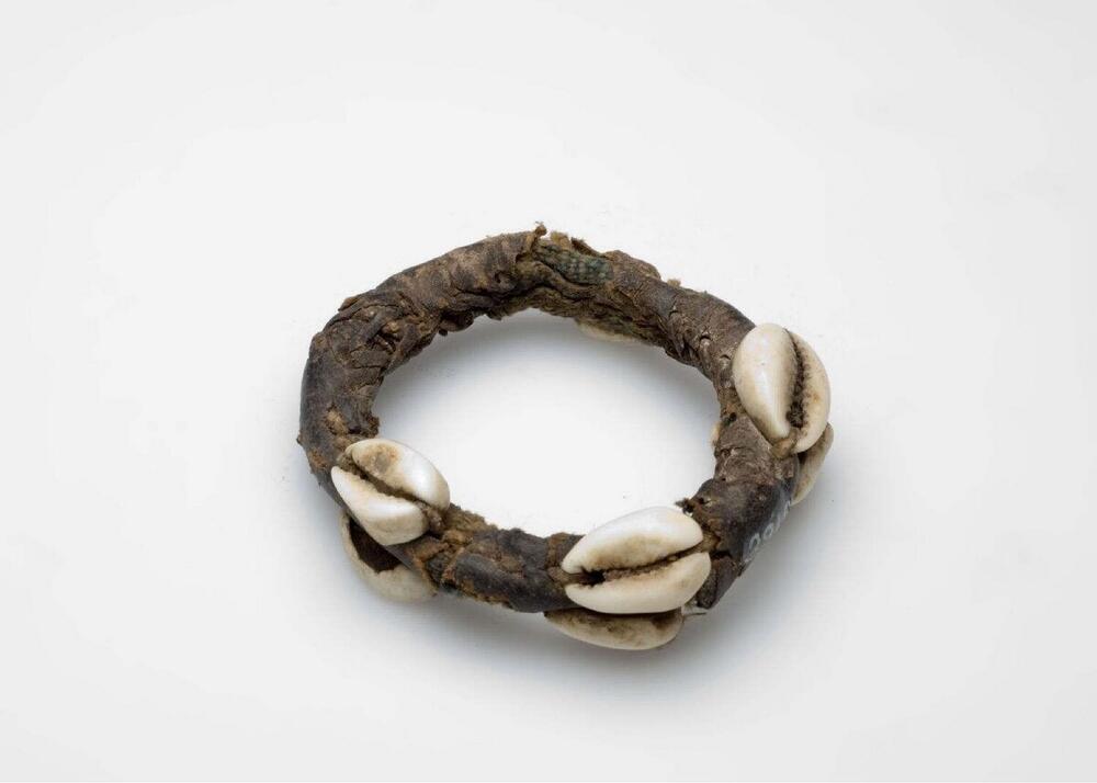 Leren armband met kaurischelpen, gedragen als bescherming tegen ziekte en oorlog