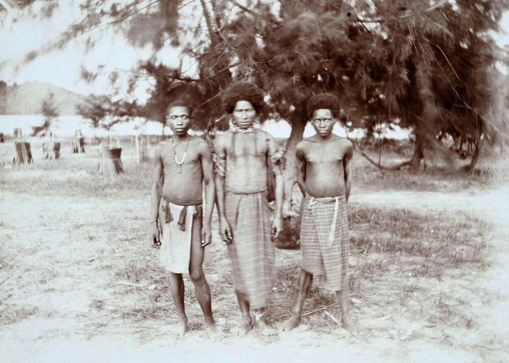 Portret van drie Papua's