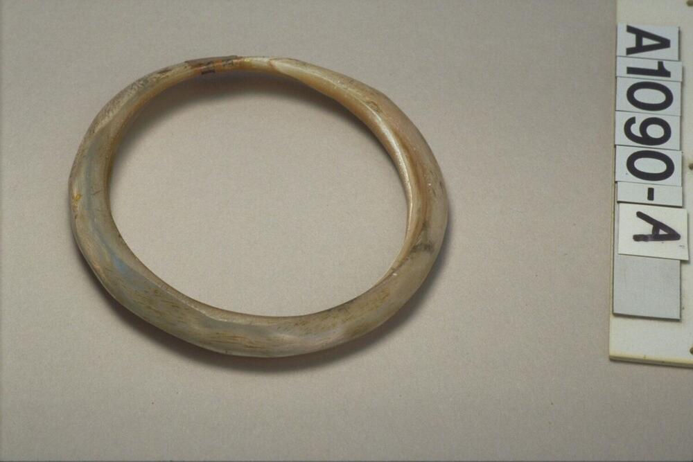 Armband gemaakt van schelp