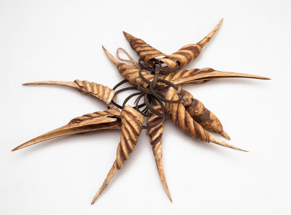 Bundle of ten beaks, worn by married women