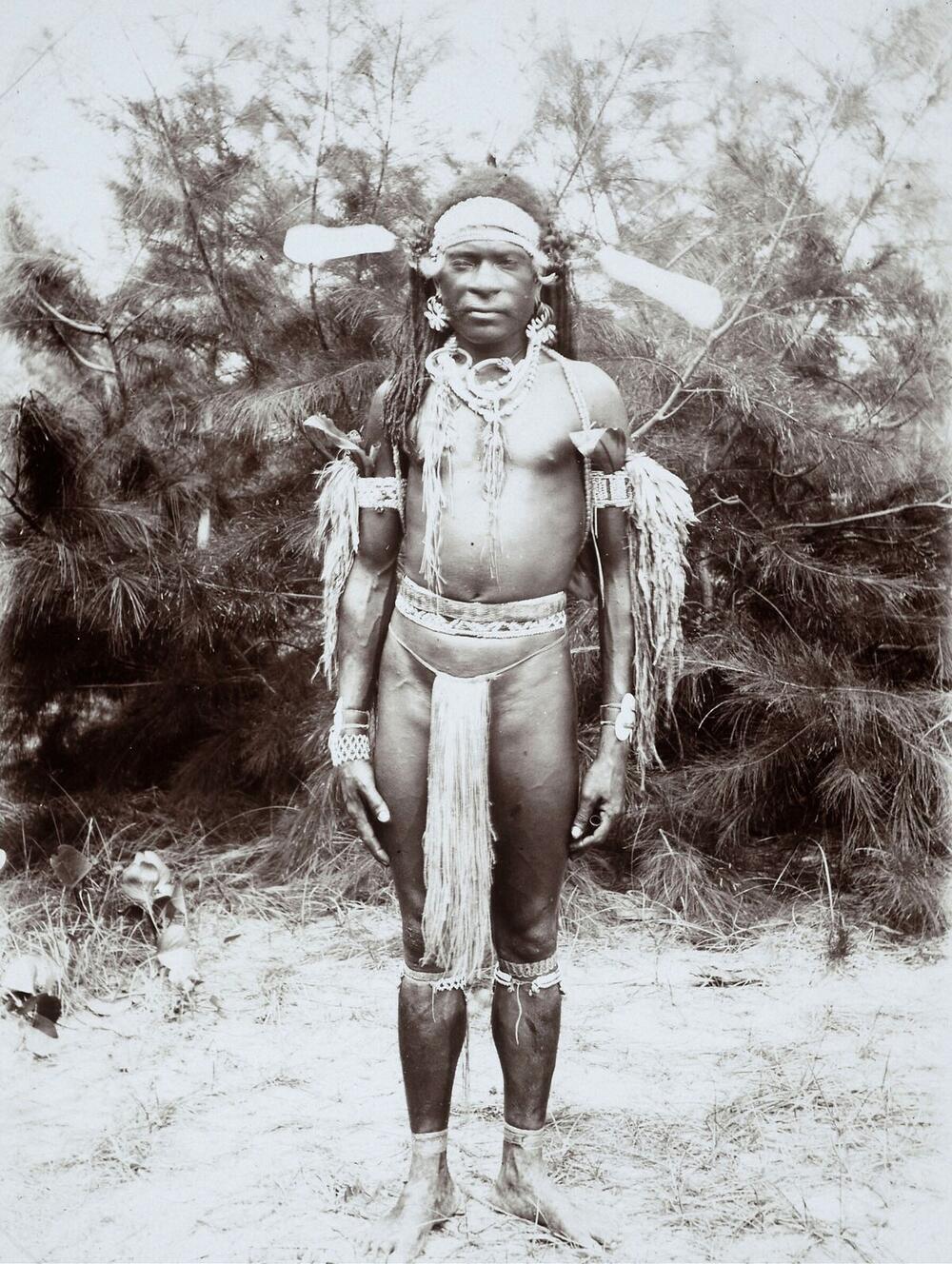 Portrait of a Papuan man from Tarpia