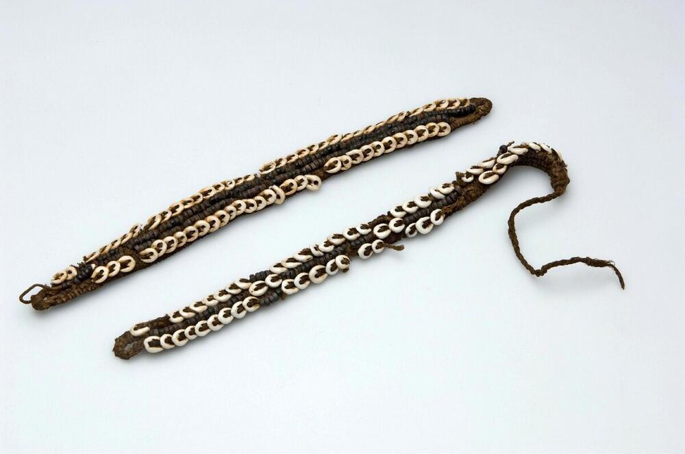 Knieband