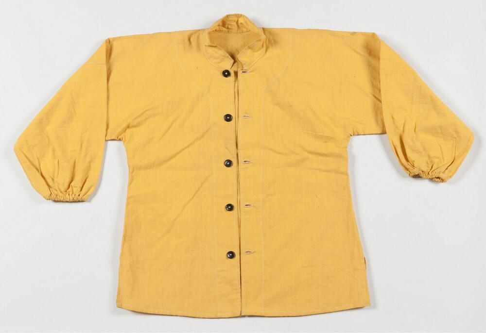 Blouse van een leeuwendanskostuum